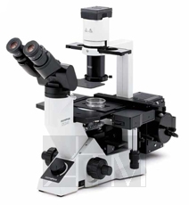   Olympus CKX41