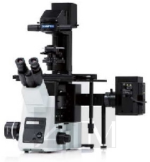   Olympus IX73