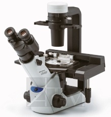   Olympus CKX53