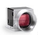     Videozavr ()