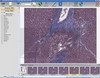   VideoZavr Catalog ()