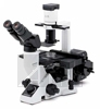   Olympus CKX41
