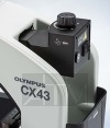  ()       CX3 - CX43