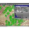   IMAGESCOPE M