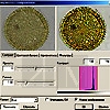   IMAGESCOPE S