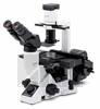 Инвертированный микроскоп Olympus CKX41