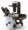 Инвертированный микроскоп Olympus CKX53