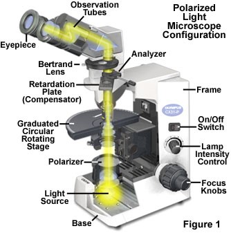 https://micro.magnet.fsu.edu/primer/techniques/polarized/images/polmicroalignmentfigure1.jpg